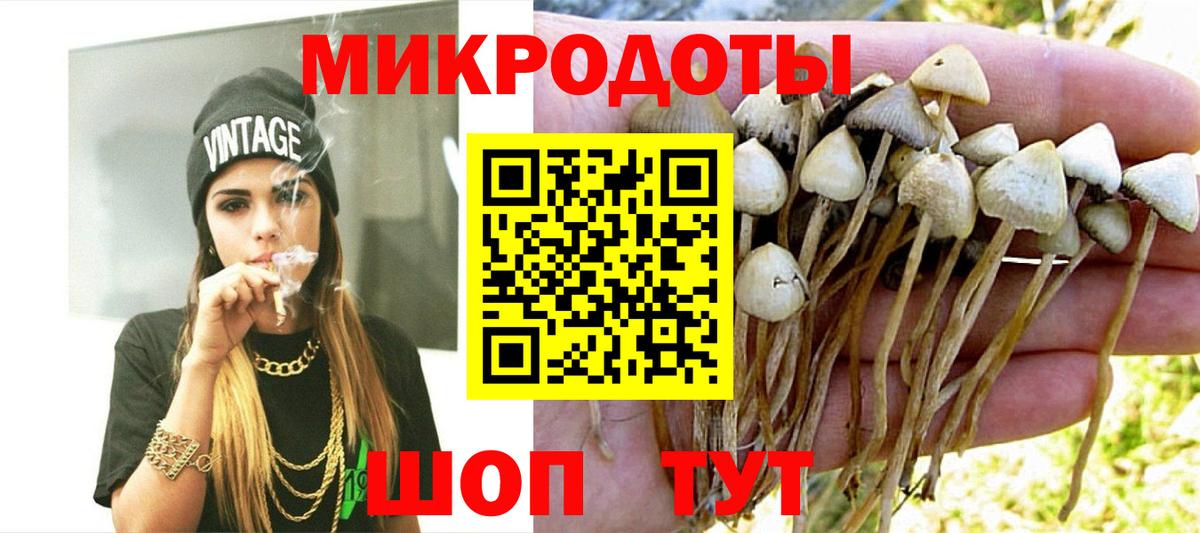 Галлюциногенные грибы Cubensis  цена   Сертолово  Вход с VPN 