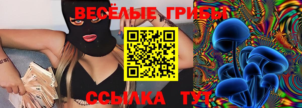 Галлюциногенные грибы Psilocybine cubensis Сертолово