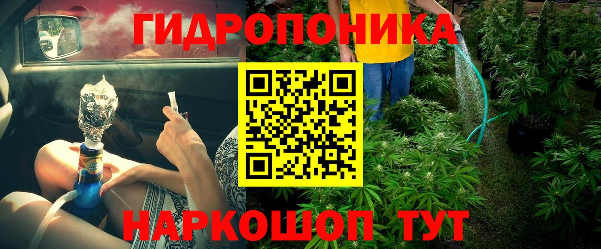 Бошки марихуана конопля Сертолово